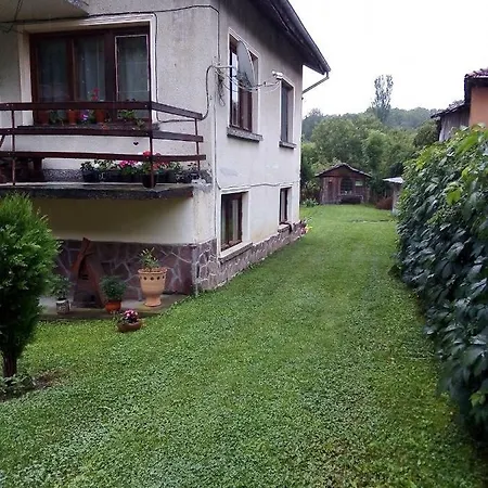 Vinchev&son